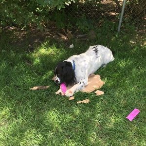 Meet your Posher, Charles